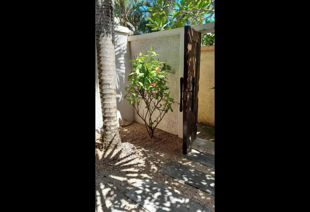 Oasis Villa Tropicale Grand Baie Exterior foto