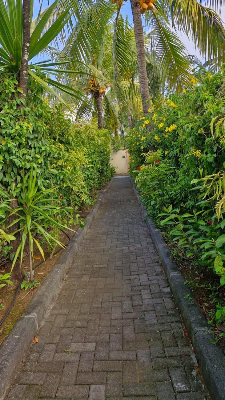 Oasis Villa Tropicale Grand Baie Exterior foto